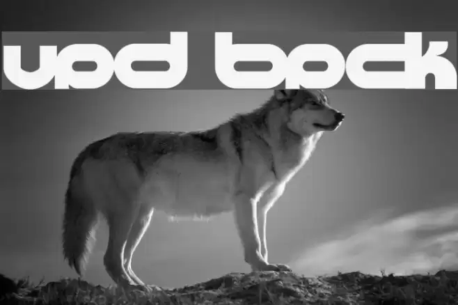 Ultraworld black Font examples