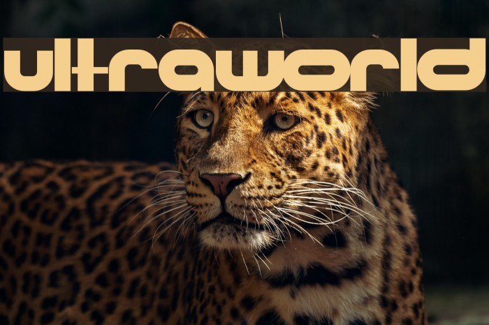 Ultraworld Font examples