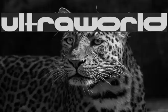 Ultraworld 字体 examples