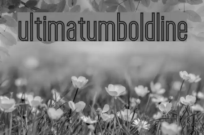 ultimatumboldline Font examples