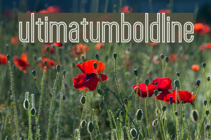 ultimatumboldline Example 2