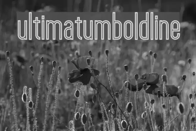 ultimatumboldline Font examples