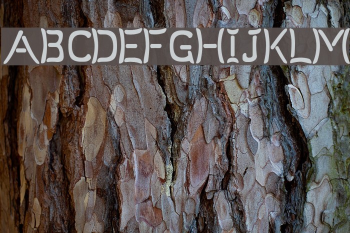 Um Sticks Alienated Font examples