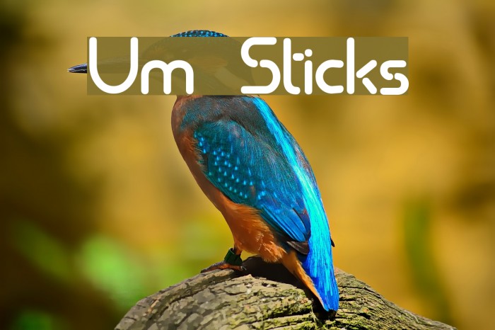 Um Sticks Font examples