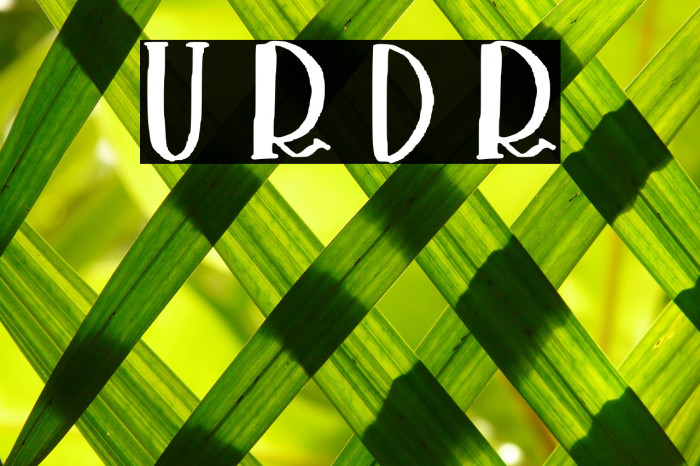 Umaima Regular Demo Regular Font examples