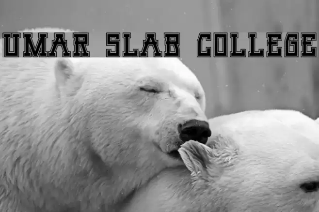Umar Slab College Font examples
