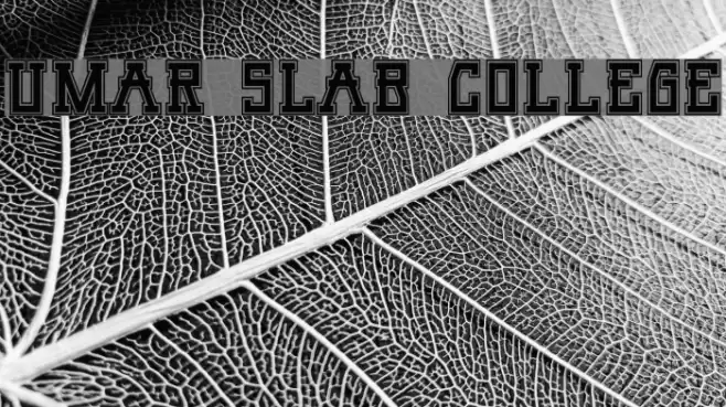 Umar Slab College Font examples