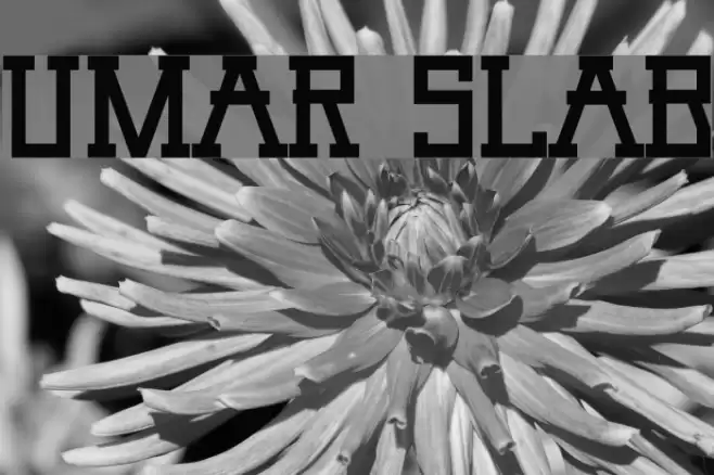 Umar Slab Font examples