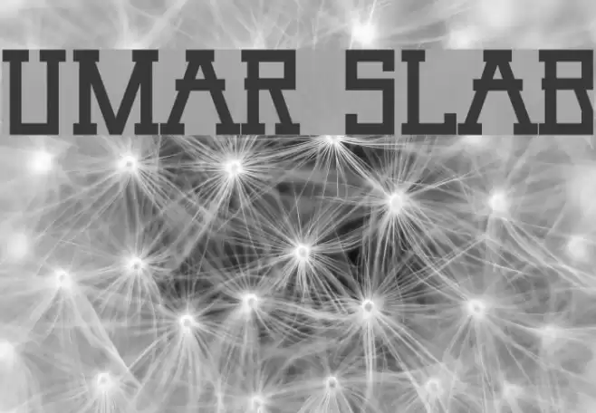 Umar Slab Font examples