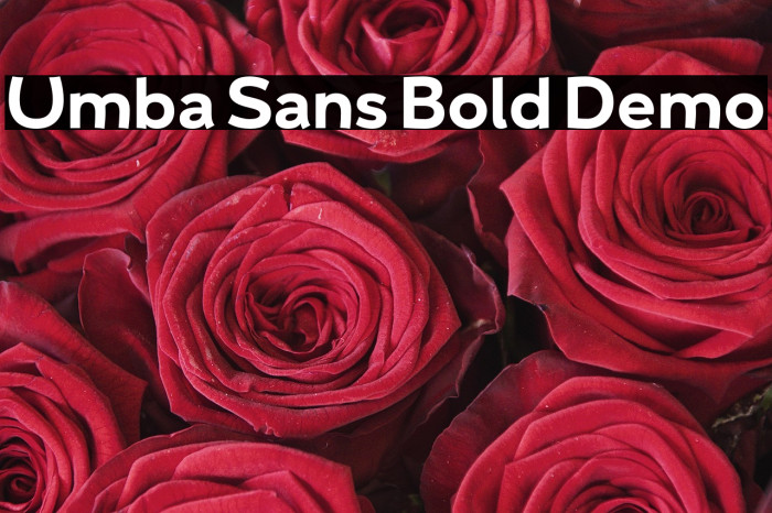Umba Sans Bold Demo Example 2