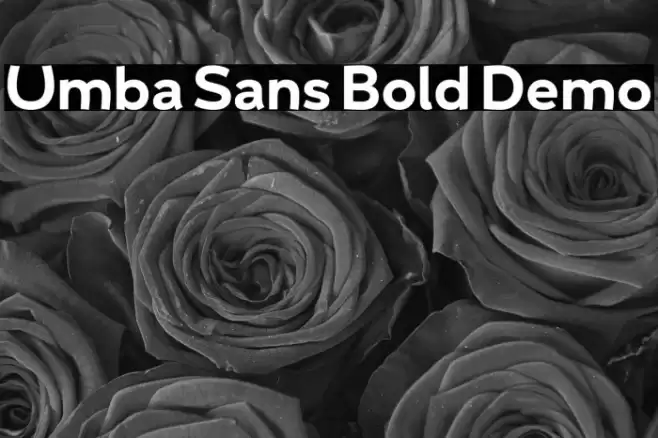 Umba Sans Bold Demo Font examples