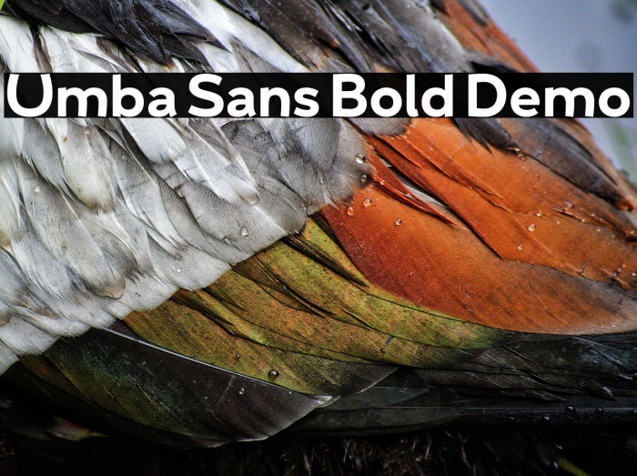 Umba Sans Bold Demo Example 3