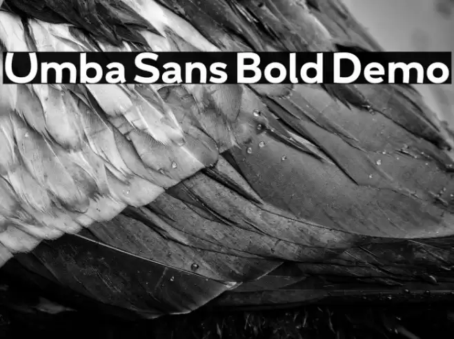 Umba Sans Bold Demo Font examples