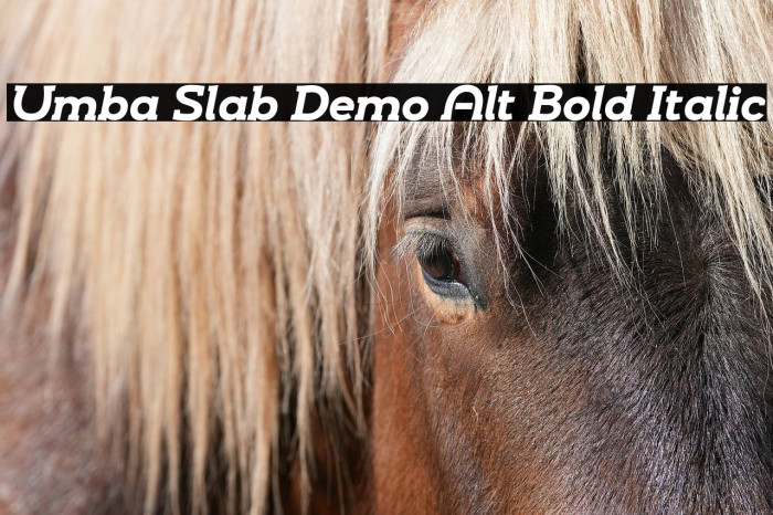 Umba Slab Demo Alt Bold Italic Example 2