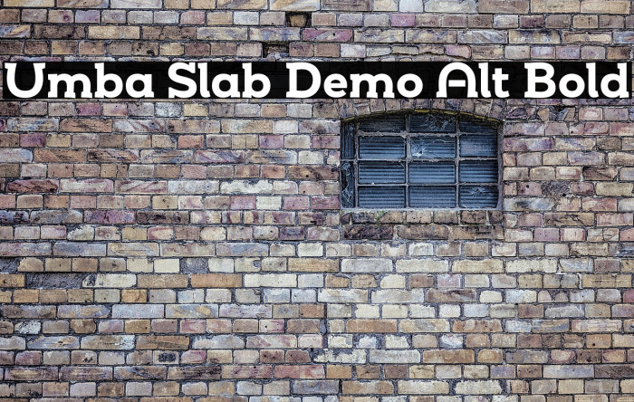 Umba Slab Demo Alt Bold Example 1