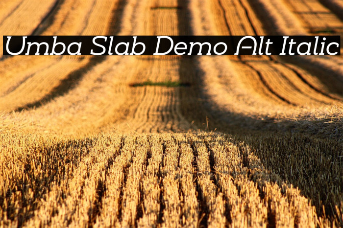 Umba Slab Demo Alt Italic Example 2