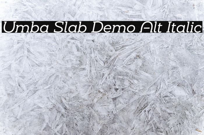 Umba Slab Demo Alt Italic Example 3