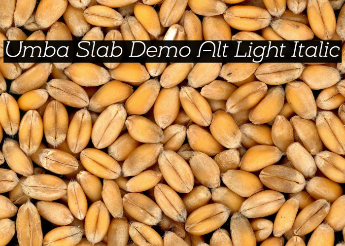 Umba Slab Demo Alt Light Italic Example 1
