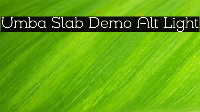 Umba Slab Demo Alt Light Example 3