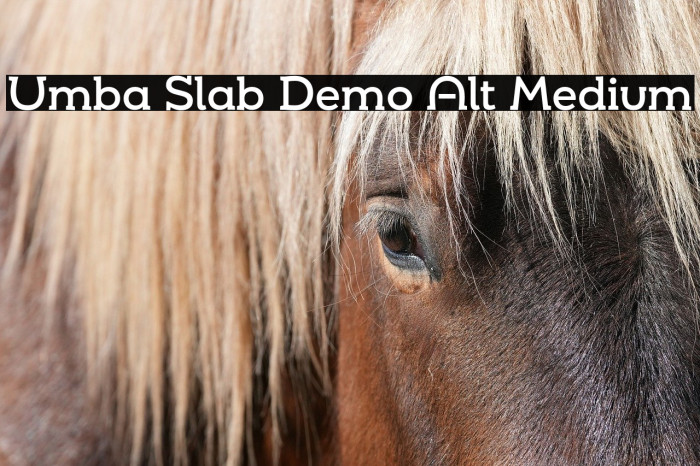 Umba Slab Demo Alt Medium Example 1