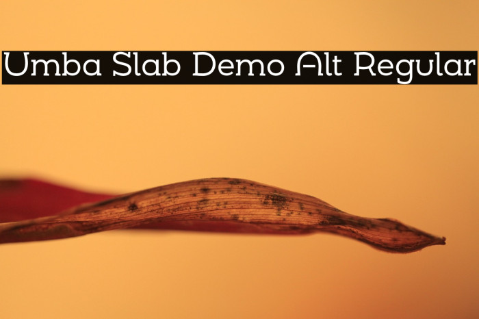 Umba Slab Demo Alt Regular Example 1
