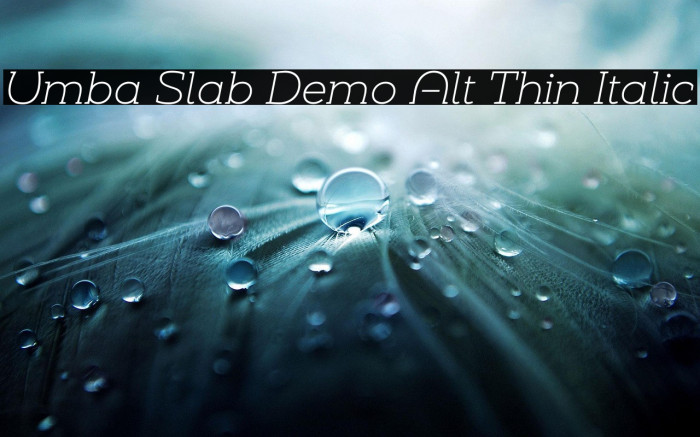 Umba Slab Demo Alt Thin Italic Example 1
