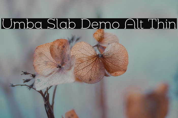 Umba Slab Demo Alt Thin Example 2