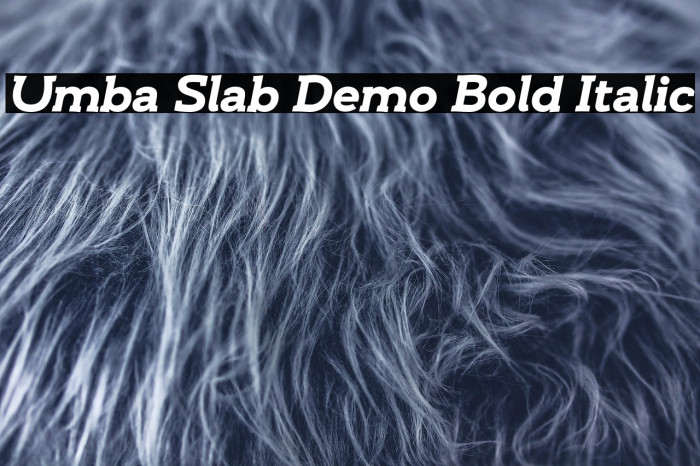 Umba Slab Demo Bold Italic Example 1
