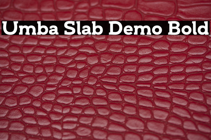Umba Slab Demo Bold Example 1