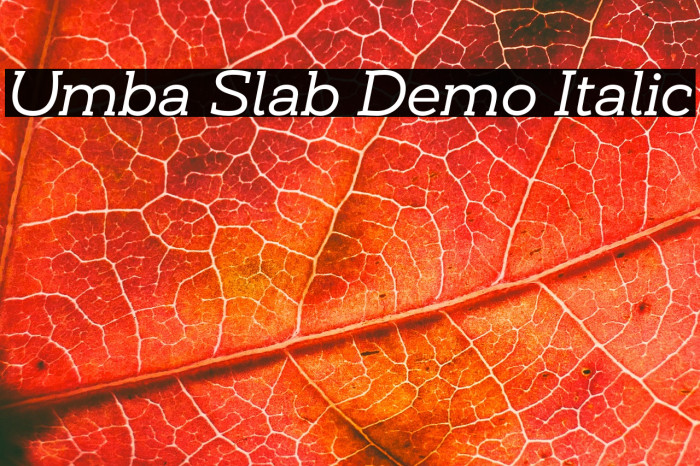 Umba Slab Demo Italic Example 3