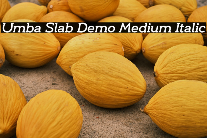 Umba Slab Demo Medium Italic Example 2