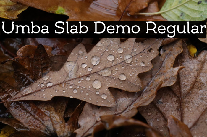 Umba Slab Demo Regular Example 3