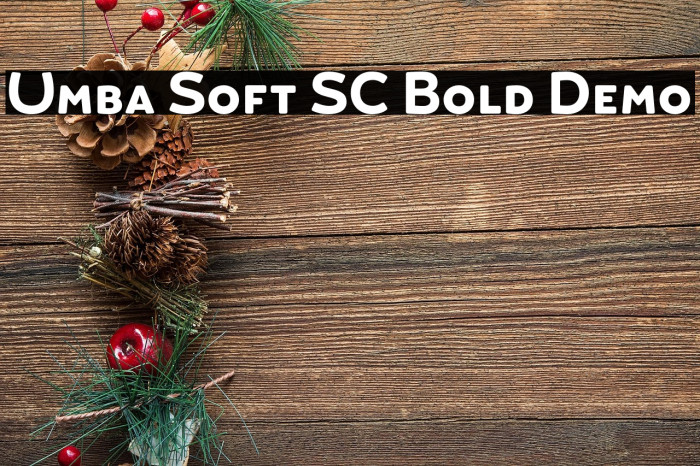 Umba Soft SC Bold Demo Example 1