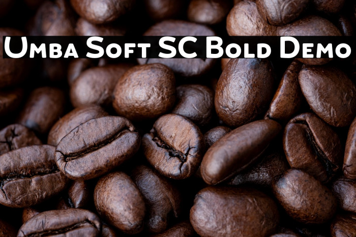 Umba Soft SC Bold Demo Example 2