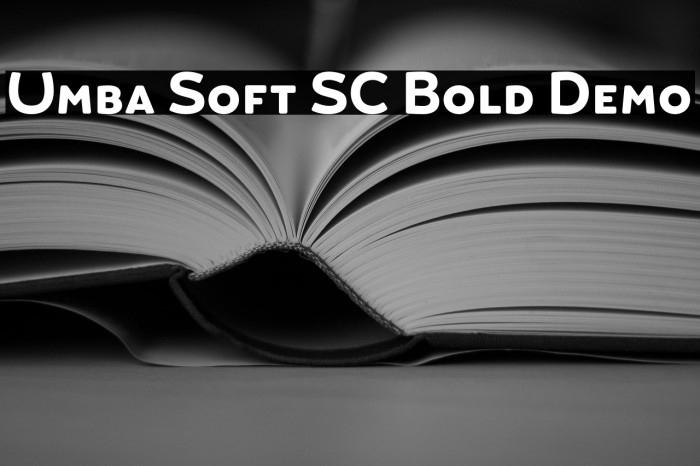 Umba Soft SC Bold Demo Example 3