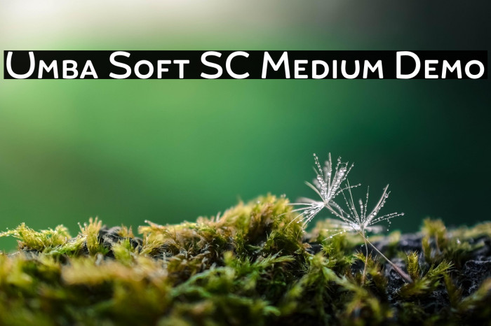 Umba Soft SC Medium Demo Example 1