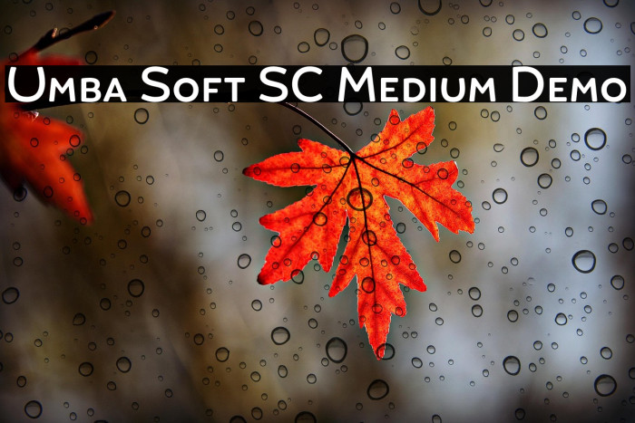 Umba Soft SC Medium Demo Example 2