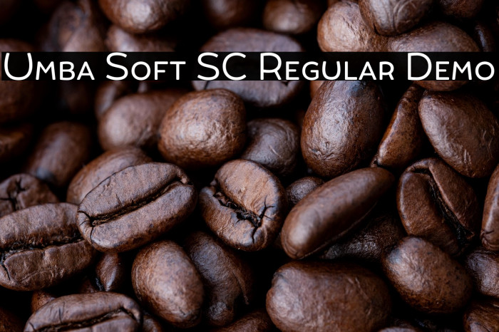 Umba Soft SC Regular Demo Example 1