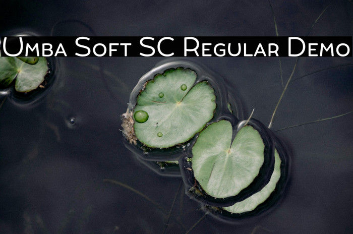 Umba Soft SC Regular Demo Example 3