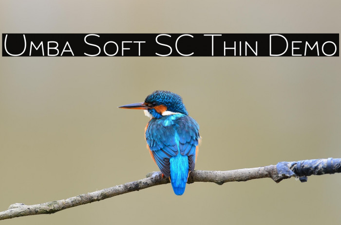 Umba Soft SC Thin Demo Example 2