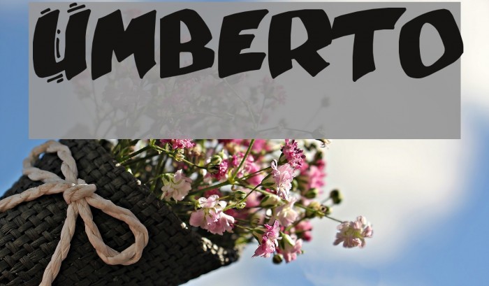 Umberto Fuentes examples