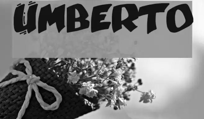 Umberto Font examples
