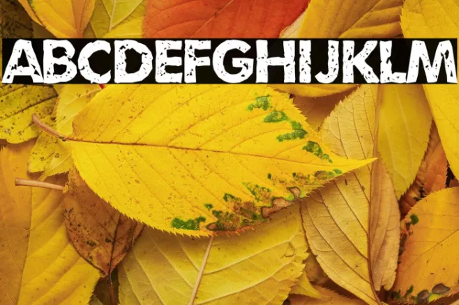 Umbrage Example 3