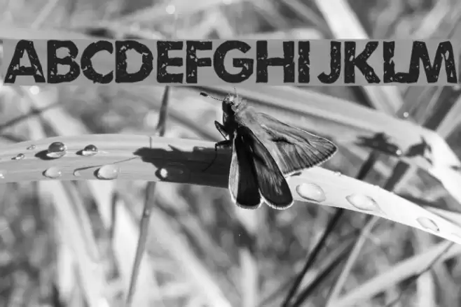 Umbrage Font examples