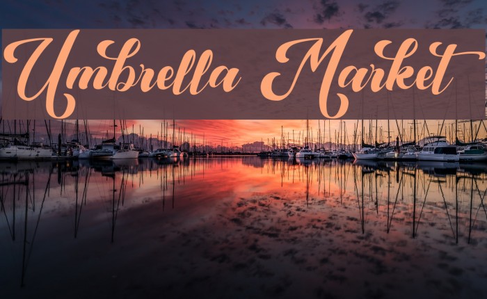 Umbrella Market Example 1