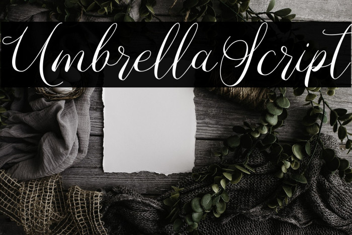 UmbrellaScript Example 2
