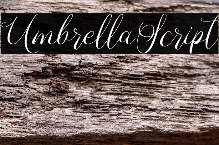 UmbrellaScript Example 3