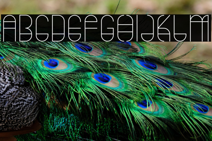 Umbrellast Example 1