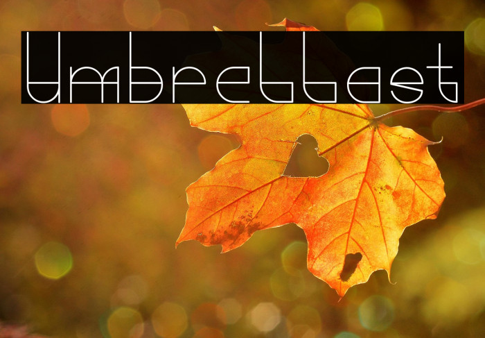 Umbrellast Example 3