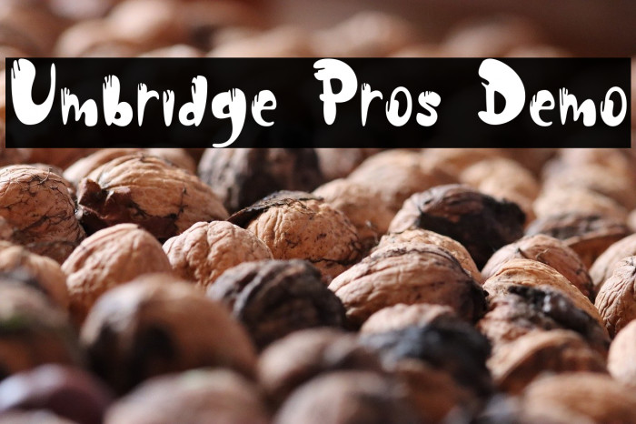 Umbridge Pros Demo Example 2